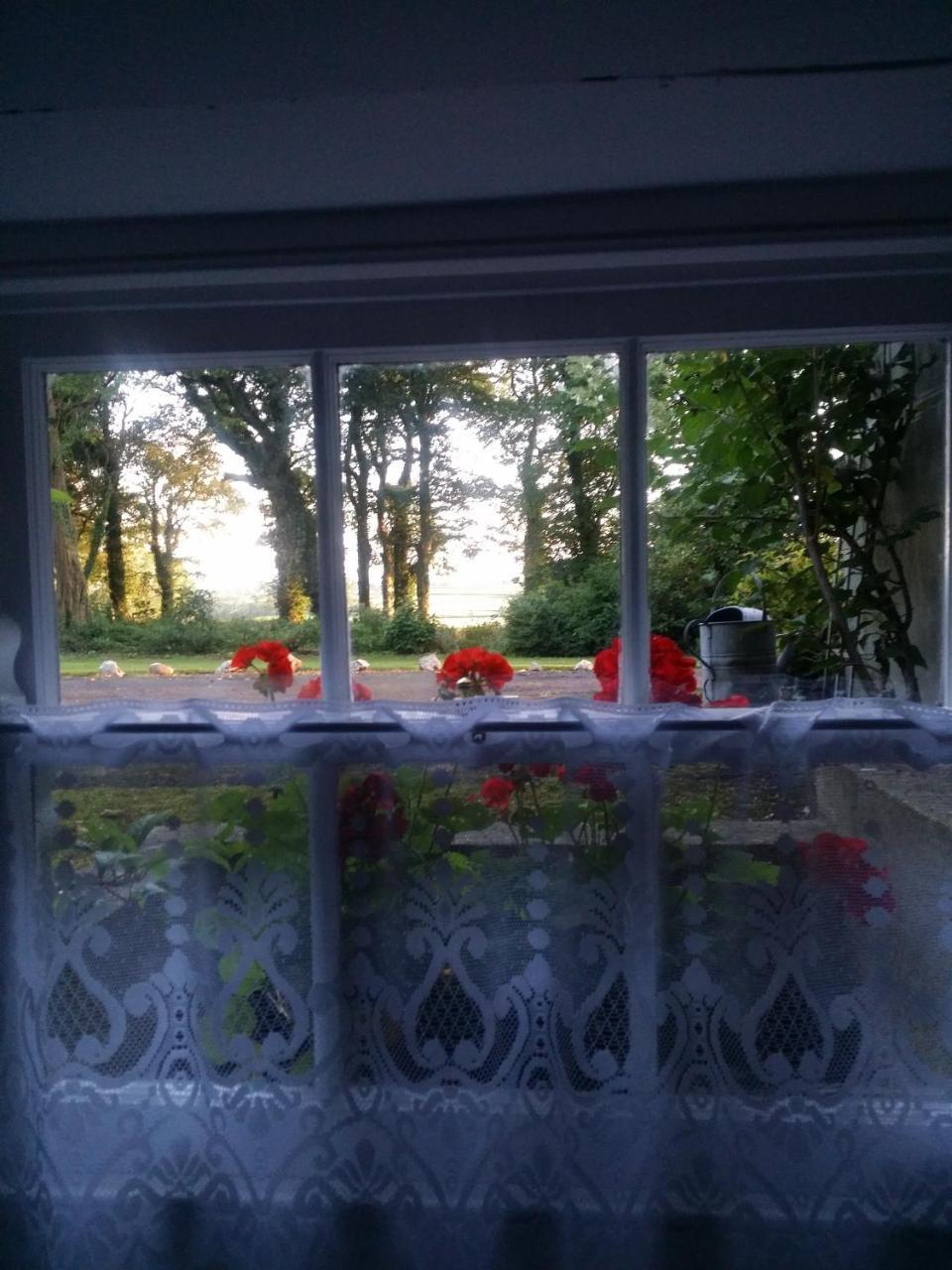 Dromore House Historic Country House Coleraine Luaran gambar